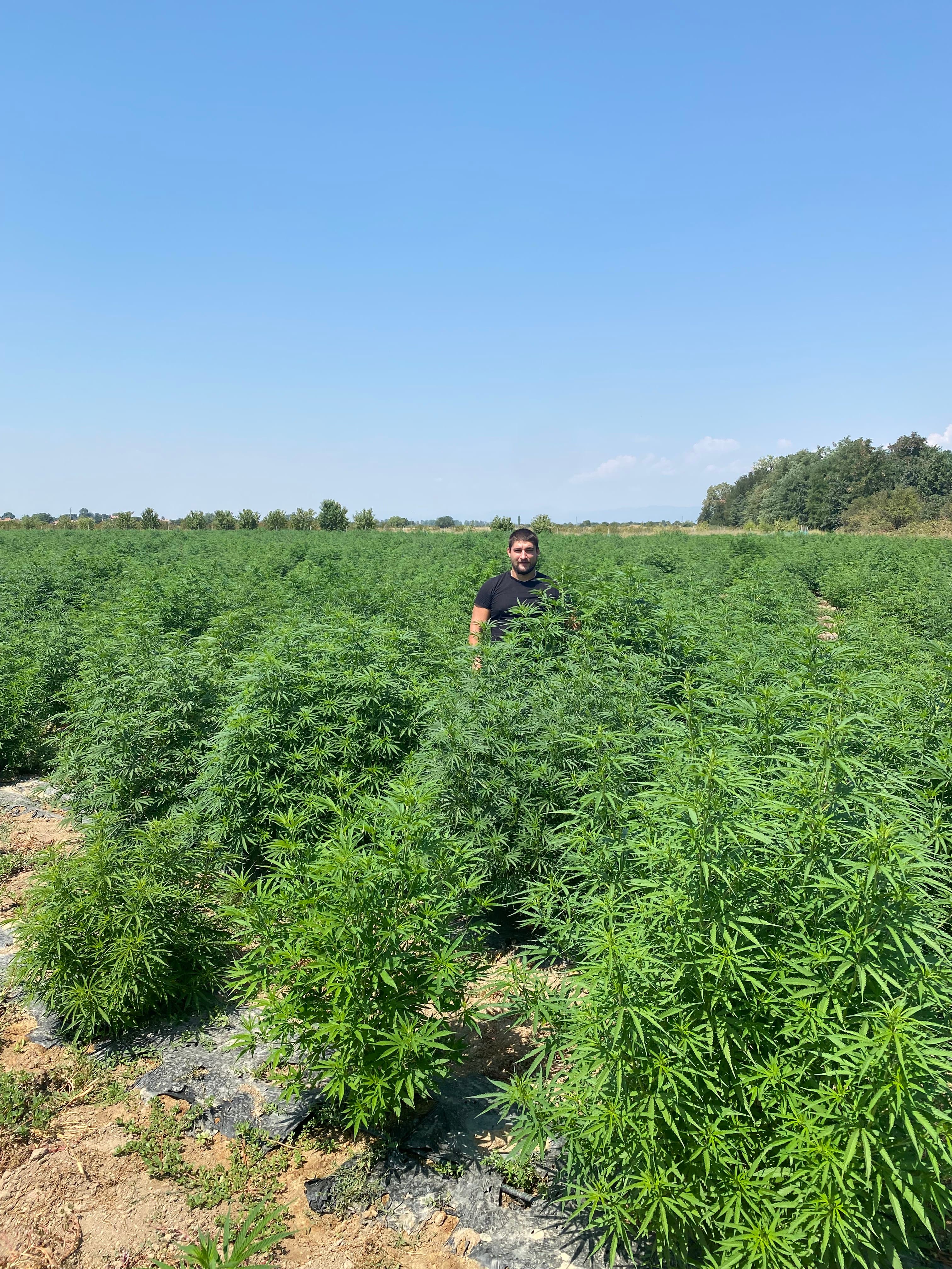 Founder of Cannapopolis